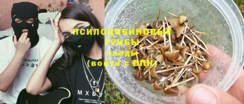 Магазины продажи наркотиков Верхняя Тура Конопля  Alpha PVP  Меф мяу мяу  Cocaine 