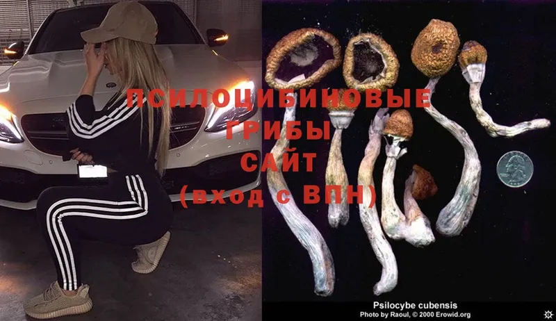 kraken рабочий сайт  Верхняя Тура  Галлюциногенные грибы Magic Shrooms 